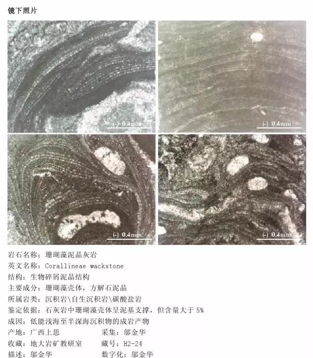 三大岩类190种岩石鉴定图册，看完你就是专家！的图215
