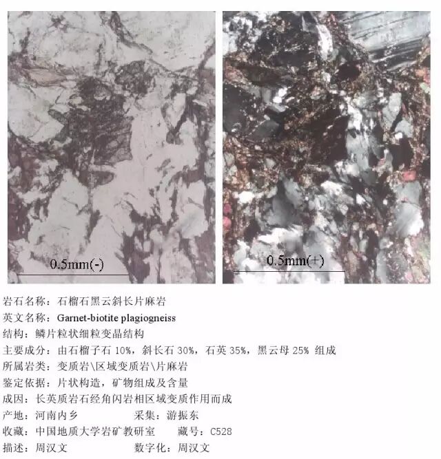 三大岩类190种岩石鉴定图册，看完你就是专家！的图327