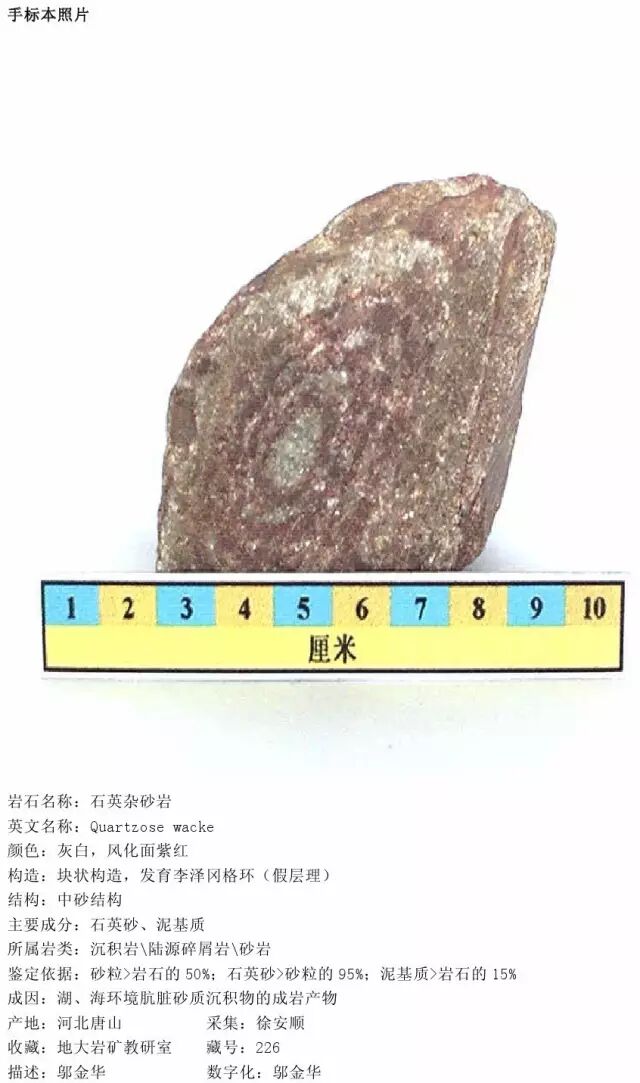 三大岩类190种岩石鉴定图册，看完你就是专家！的图163