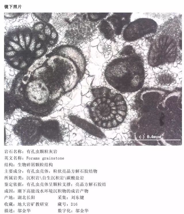 三大岩类190种岩石鉴定图册，看完你就是专家！的图193