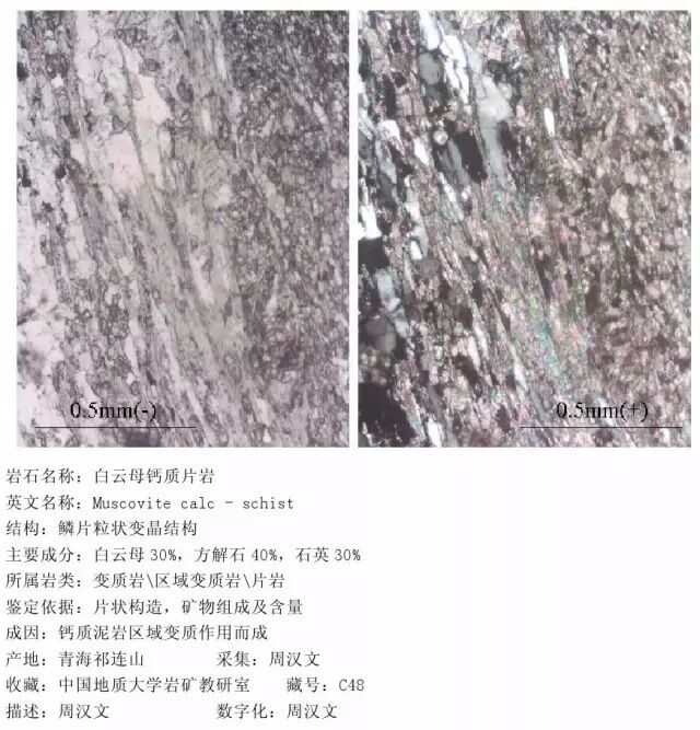 三大岩类190种岩石鉴定图册，看完你就是专家！的图293