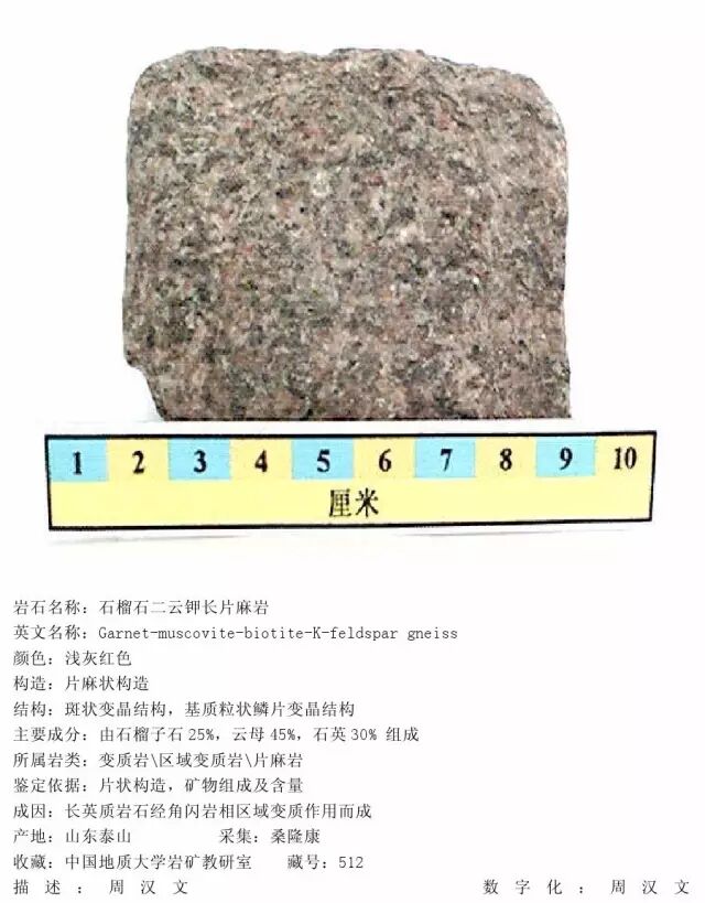 三大岩类190种岩石鉴定图册，看完你就是专家！的图317