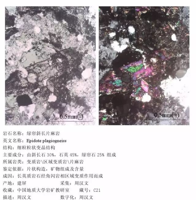 三大岩类190种岩石鉴定图册，看完你就是专家！的图331