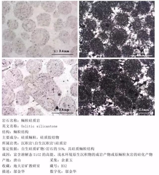 三大岩类190种岩石鉴定图册，看完你就是专家！的图239