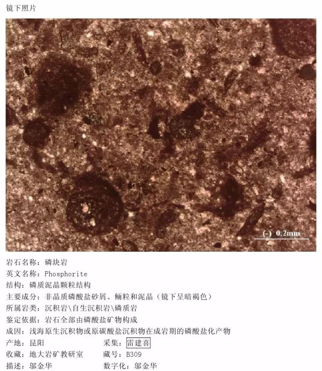 三大岩类190种岩石鉴定图册，看完你就是专家！的图249