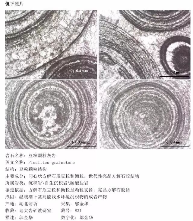 三大岩类190种岩石鉴定图册，看完你就是专家！的图185