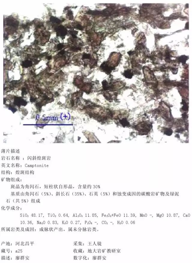 三大岩类190种岩石鉴定图册，看完你就是专家！的图102