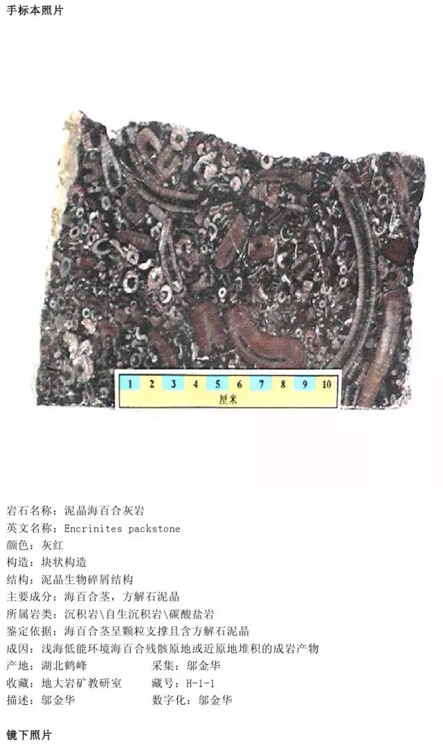 三大岩类190种岩石鉴定图册，看完你就是专家！的图204