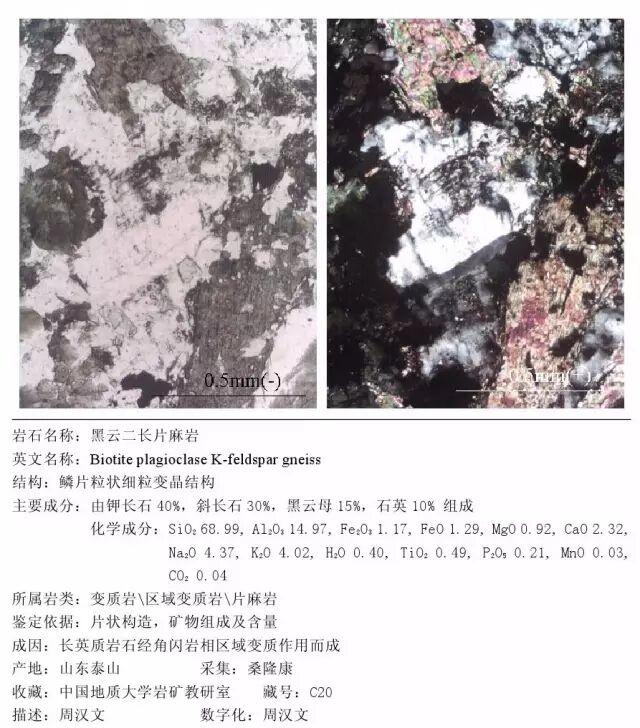 三大岩类190种岩石鉴定图册，看完你就是专家！的图323