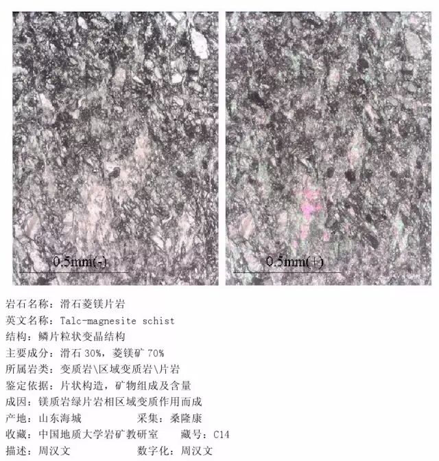 三大岩类190种岩石鉴定图册，看完你就是专家！的图312