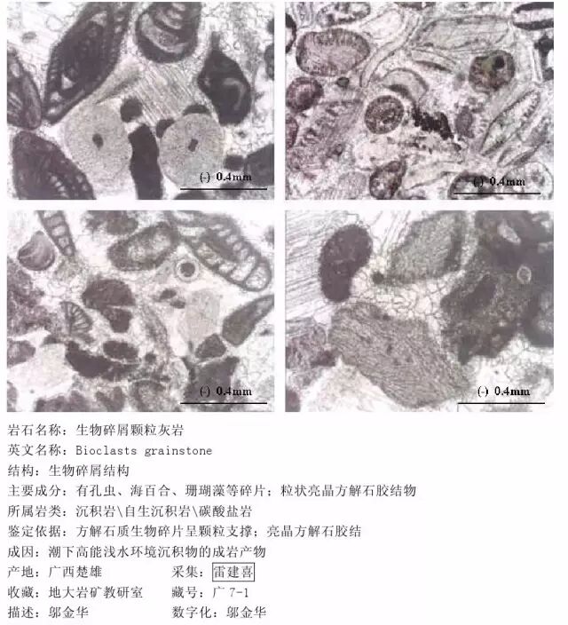 三大岩类190种岩石鉴定图册，看完你就是专家！的图181