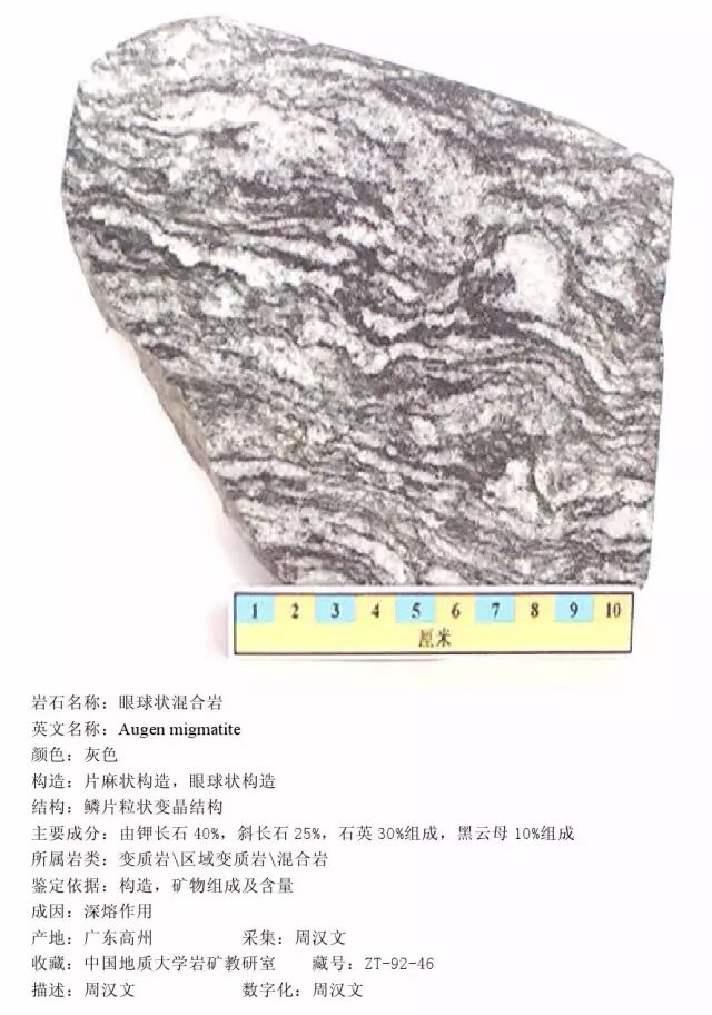 三大岩类190种岩石鉴定图册，看完你就是专家！的图379