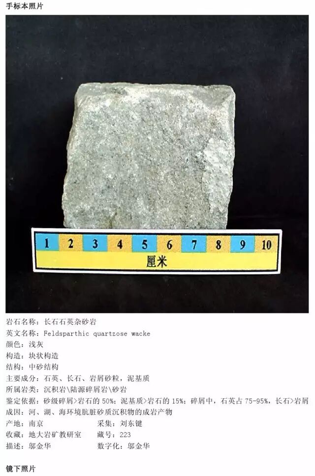 三大岩类190种岩石鉴定图册，看完你就是专家！的图169