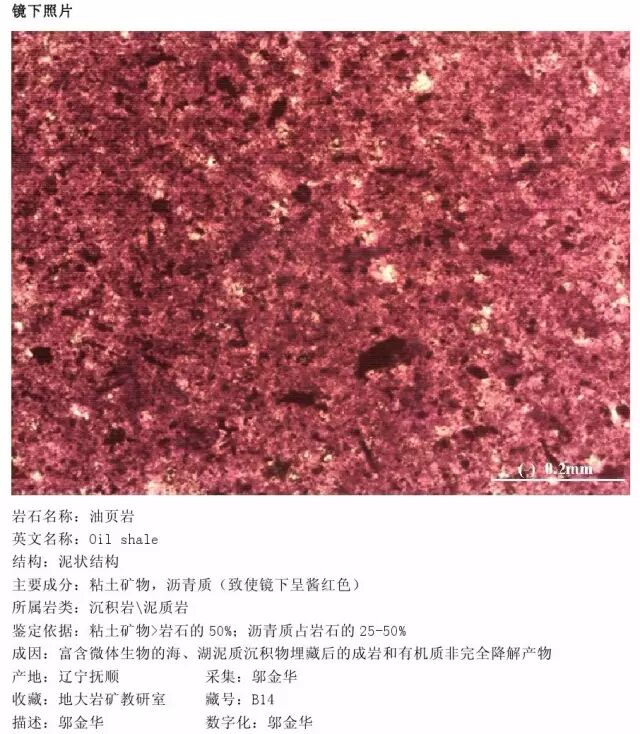 三大岩类190种岩石鉴定图册，看完你就是专家！的图179