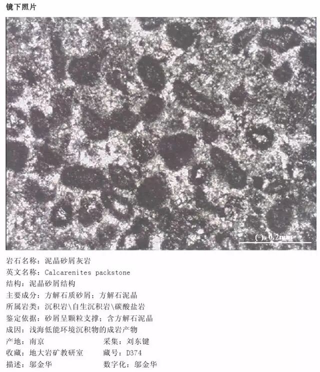 三大岩类190种岩石鉴定图册，看完你就是专家！的图209