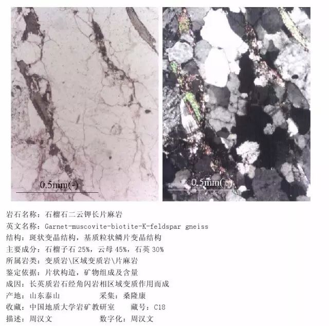 三大岩类190种岩石鉴定图册，看完你就是专家！的图318