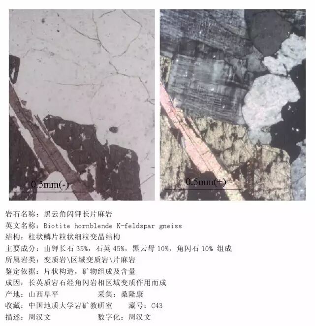 三大岩类190种岩石鉴定图册，看完你就是专家！的图321