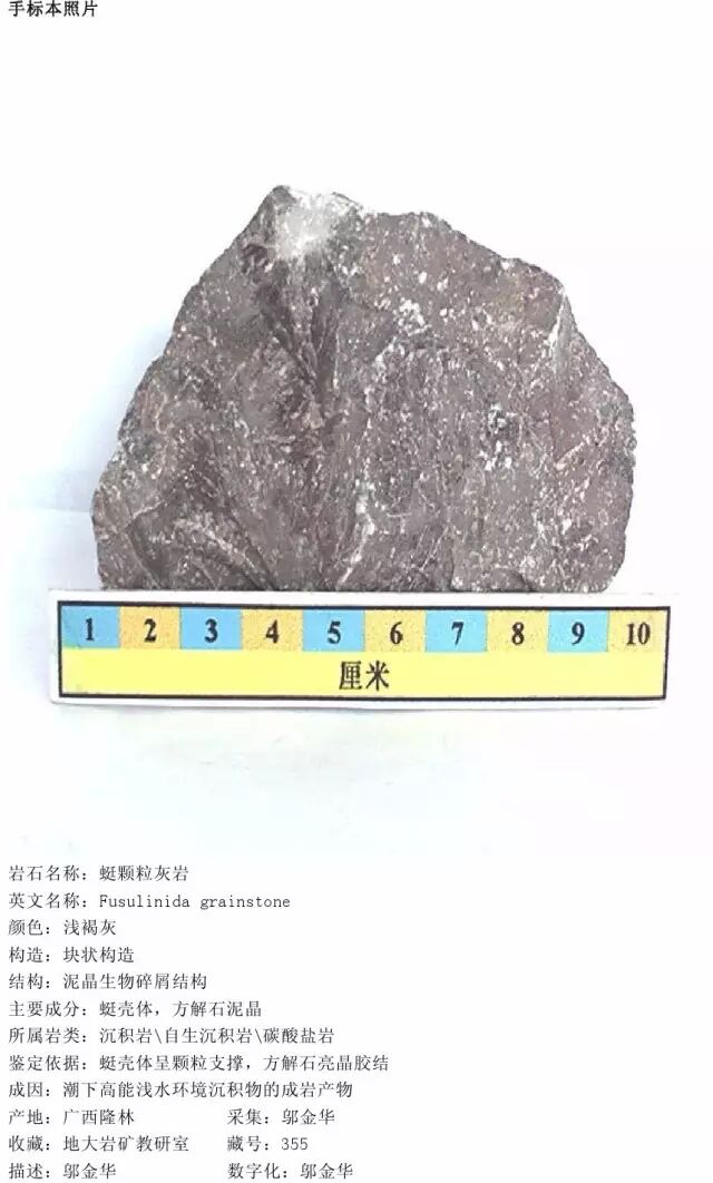 三大岩类190种岩石鉴定图册，看完你就是专家！的图194