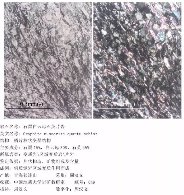 三大岩类190种岩石鉴定图册，看完你就是专家！的图292