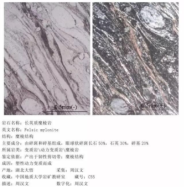 三大岩类190种岩石鉴定图册，看完你就是专家！的图281