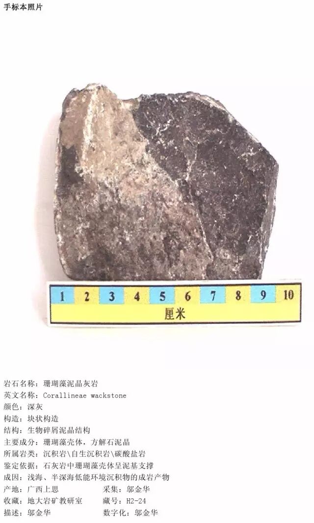 三大岩类190种岩石鉴定图册，看完你就是专家！的图214