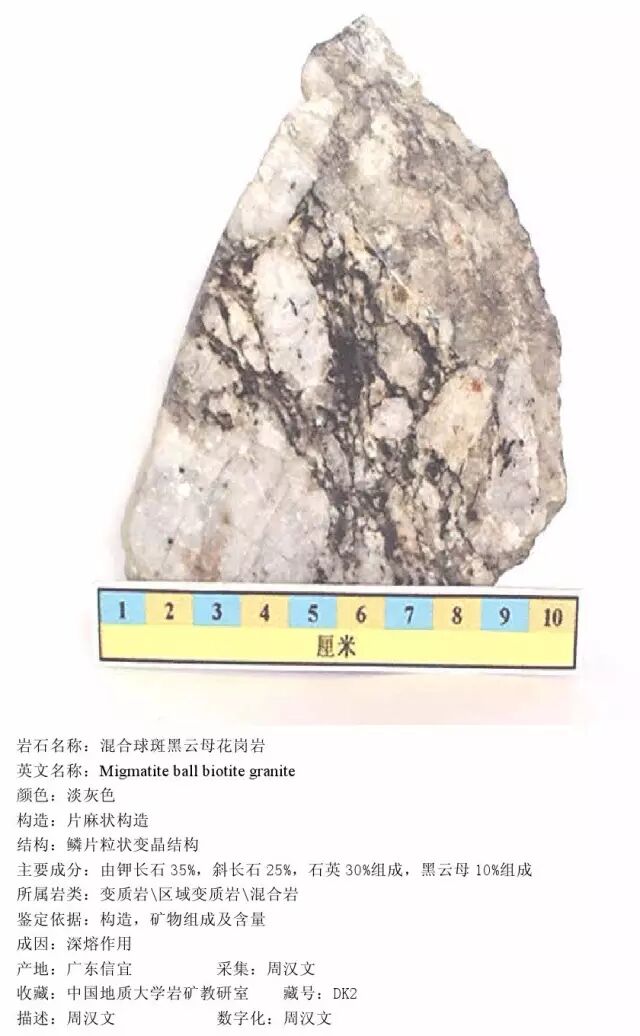 三大岩类190种岩石鉴定图册，看完你就是专家！的图373