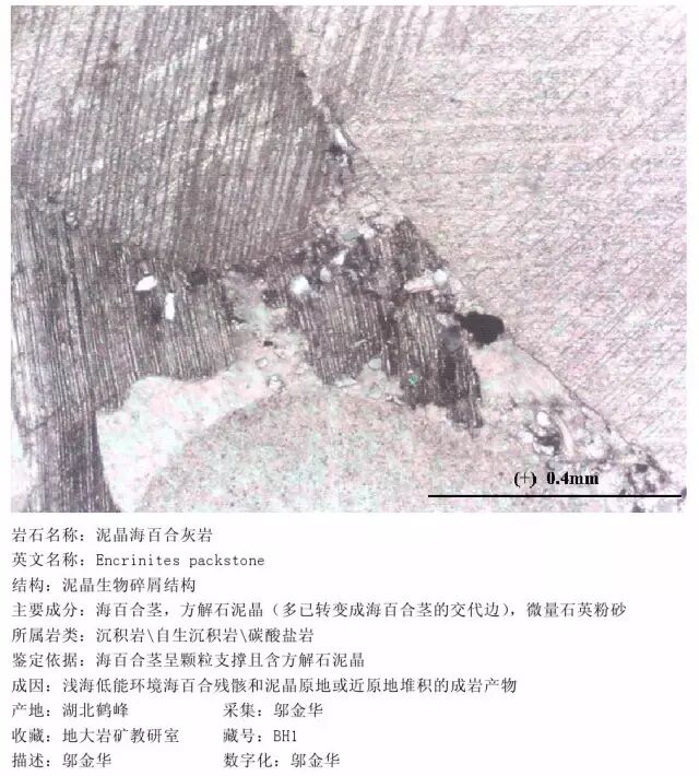 三大岩类190种岩石鉴定图册，看完你就是专家！的图205