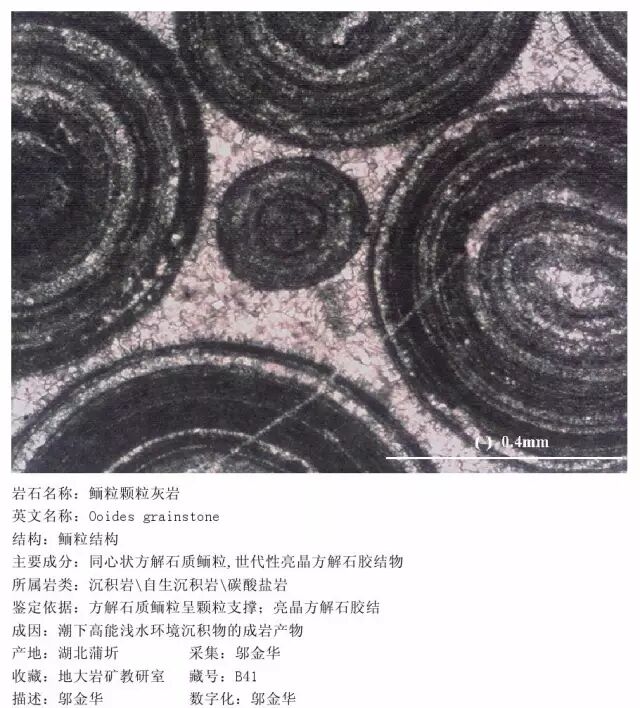 三大岩类190种岩石鉴定图册，看完你就是专家！的图183