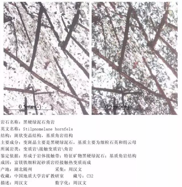 三大岩类190种岩石鉴定图册，看完你就是专家！的图260