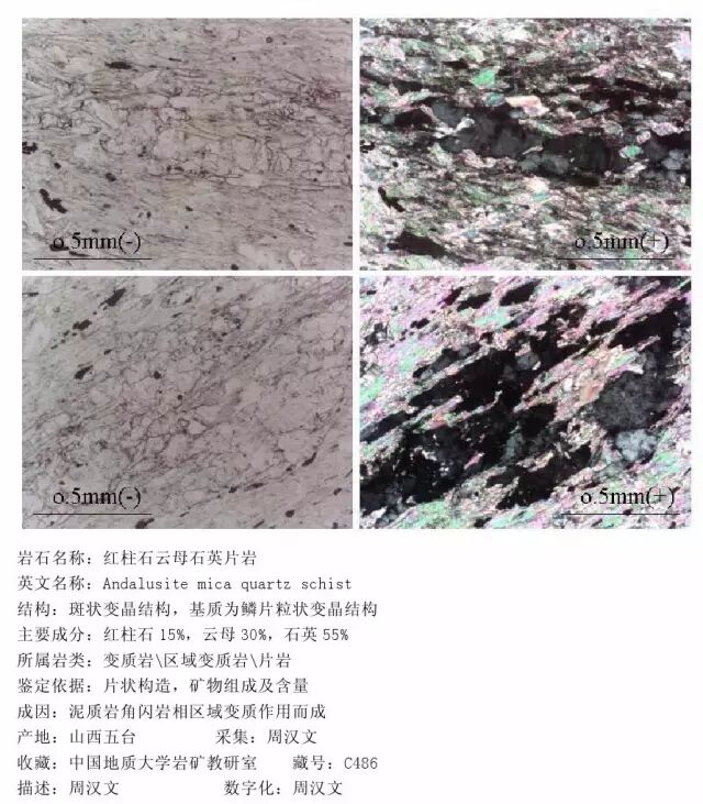 三大岩类190种岩石鉴定图册，看完你就是专家！的图298