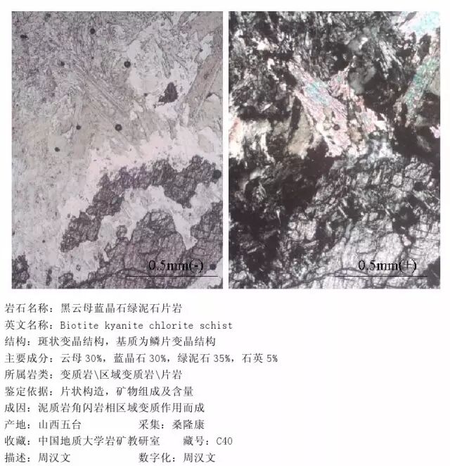 三大岩类190种岩石鉴定图册，看完你就是专家！的图303