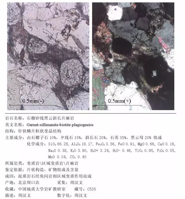 三大岩类190种岩石鉴定图册，看完你就是专家！的图339