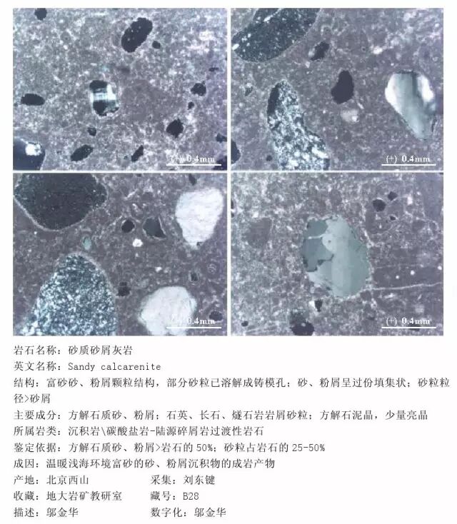 三大岩类190种岩石鉴定图册，看完你就是专家！的图225