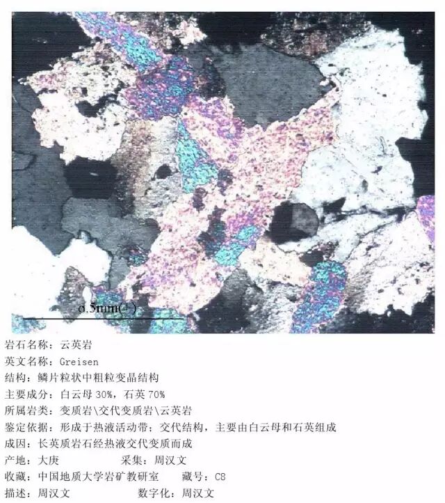 三大岩类190种岩石鉴定图册，看完你就是专家！的图262