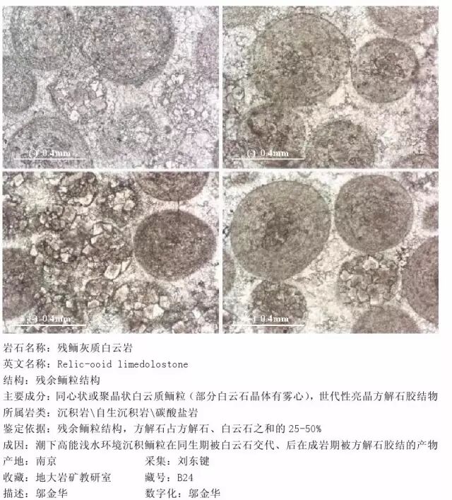 三大岩类190种岩石鉴定图册，看完你就是专家！的图223
