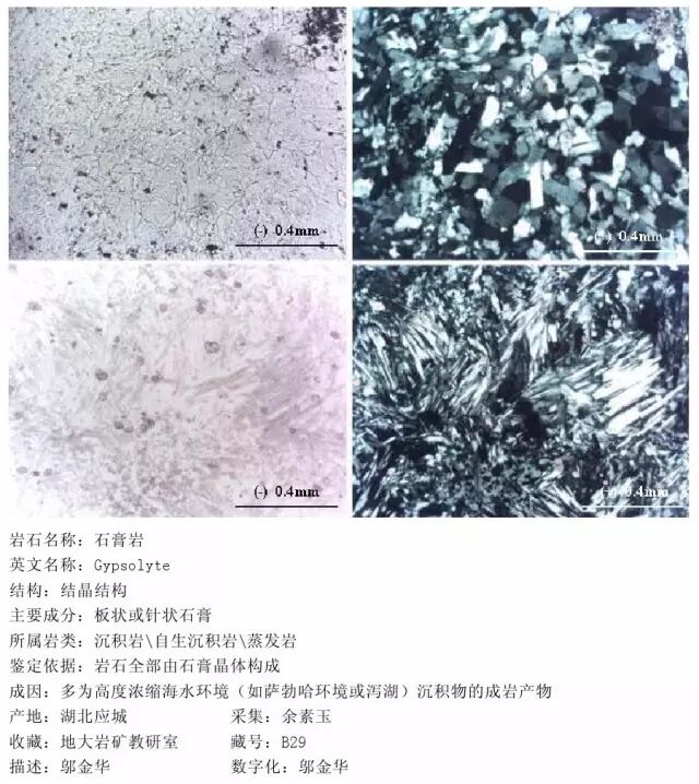 三大岩类190种岩石鉴定图册，看完你就是专家！的图241