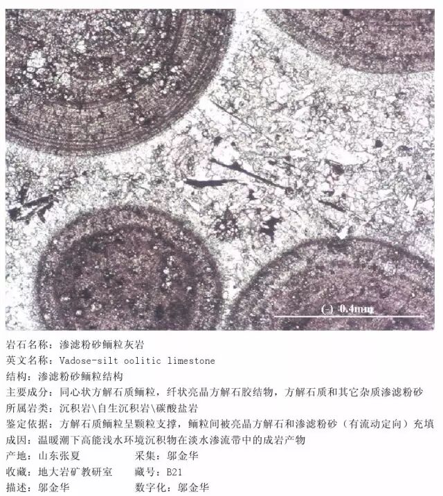 三大岩类190种岩石鉴定图册，看完你就是专家！的图197