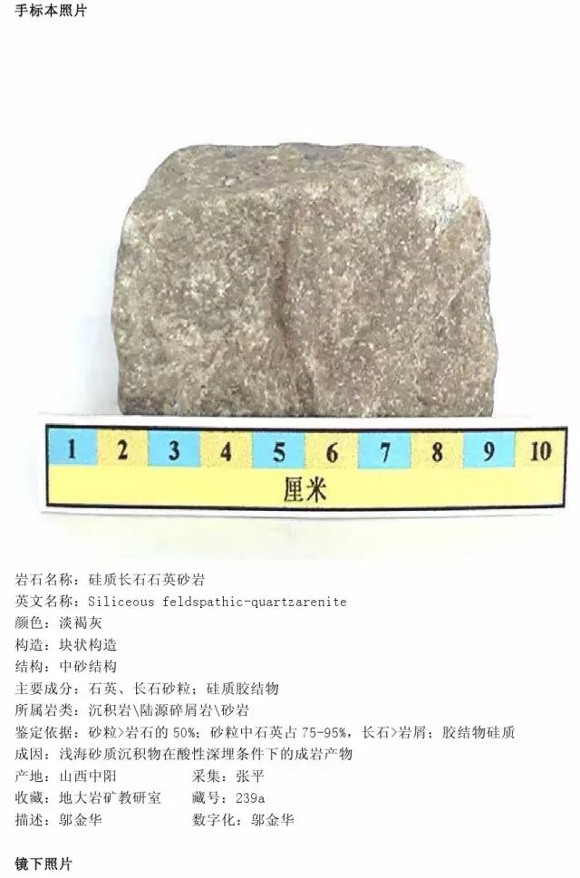 三大岩类190种岩石鉴定图册，看完你就是专家！的图155