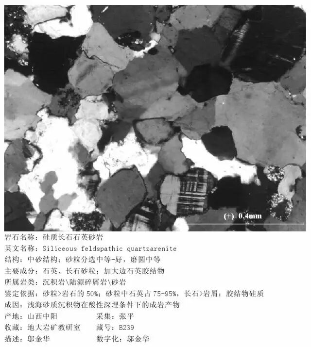 三大岩类190种岩石鉴定图册，看完你就是专家！的图156
