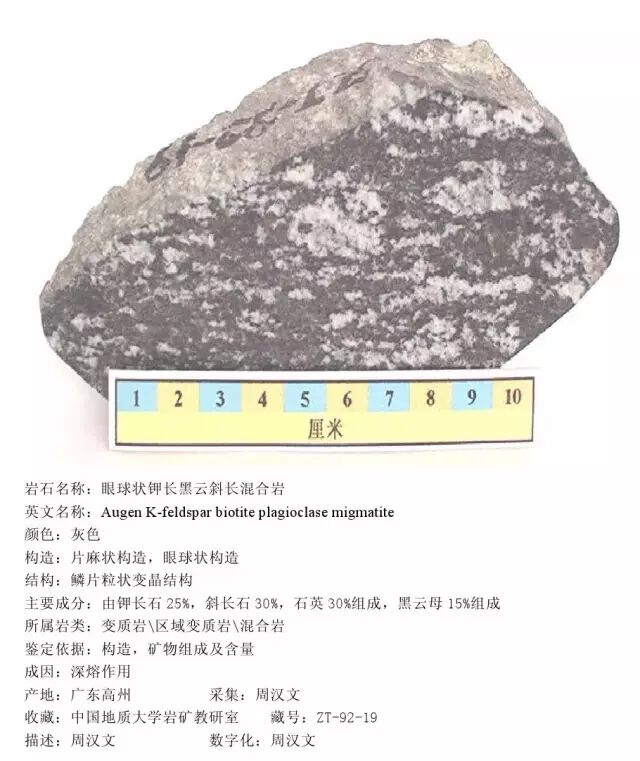 三大岩类190种岩石鉴定图册，看完你就是专家！的图376