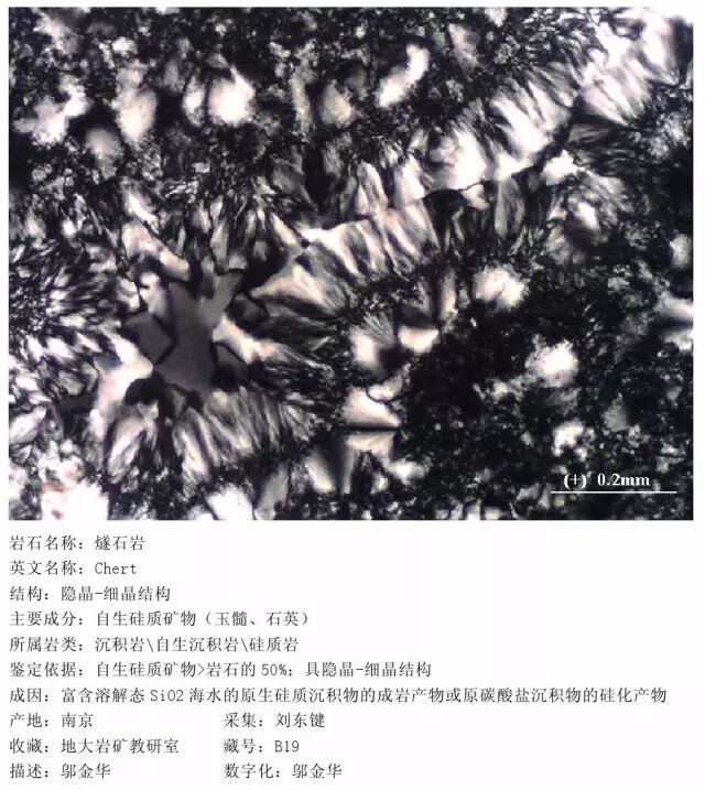 三大岩类190种岩石鉴定图册，看完你就是专家！的图233