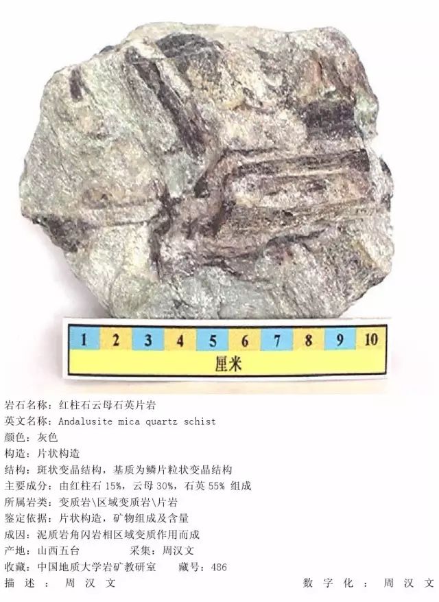 三大岩类190种岩石鉴定图册，看完你就是专家！的图297