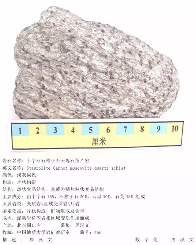 三大岩类190种岩石鉴定图册，看完你就是专家！的图294