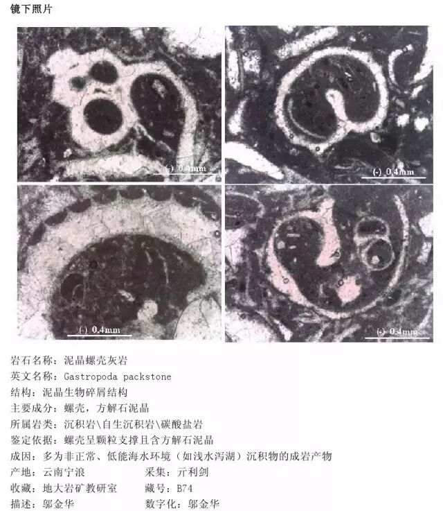 三大岩类190种岩石鉴定图册，看完你就是专家！的图201