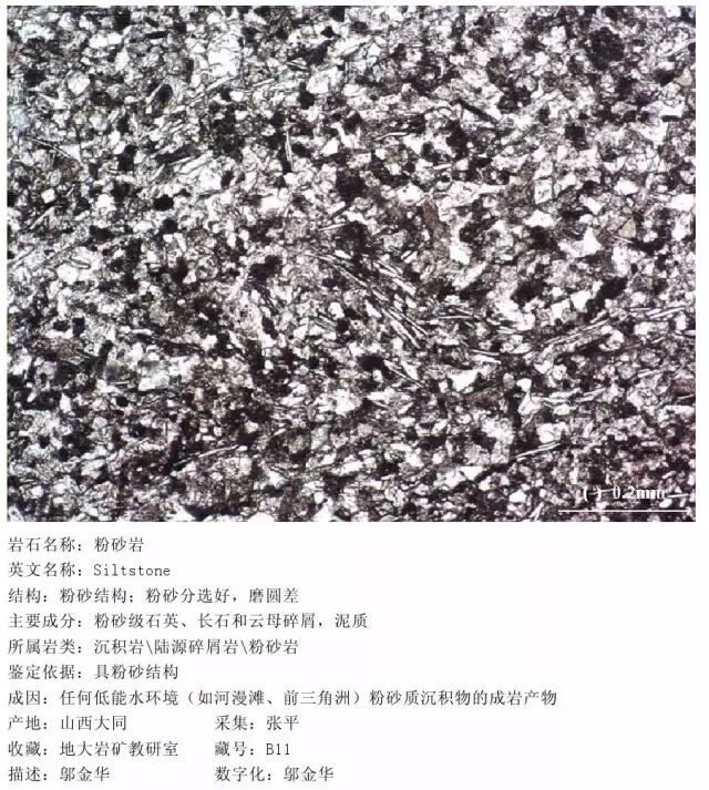 三大岩类190种岩石鉴定图册，看完你就是专家！的图174