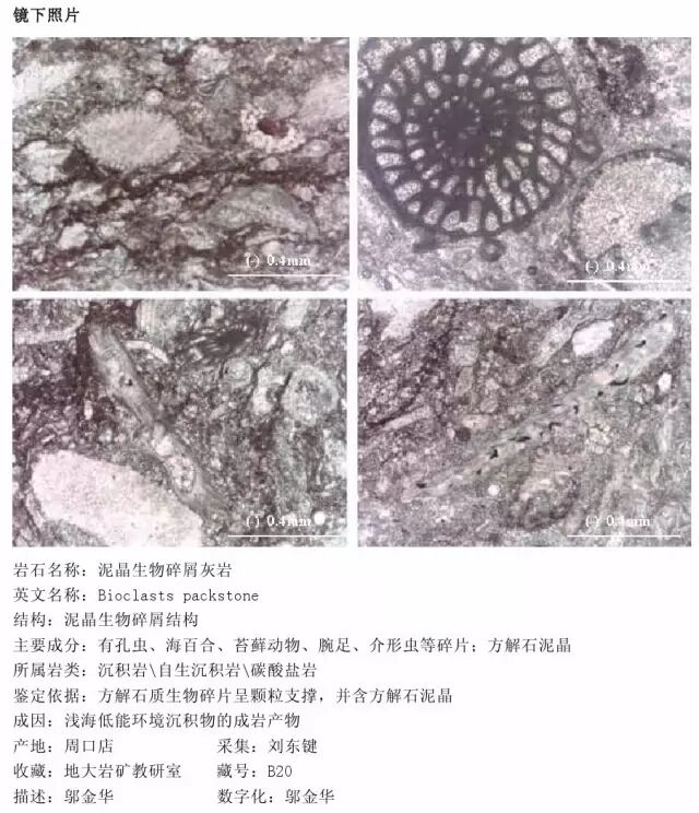 三大岩类190种岩石鉴定图册，看完你就是专家！的图199