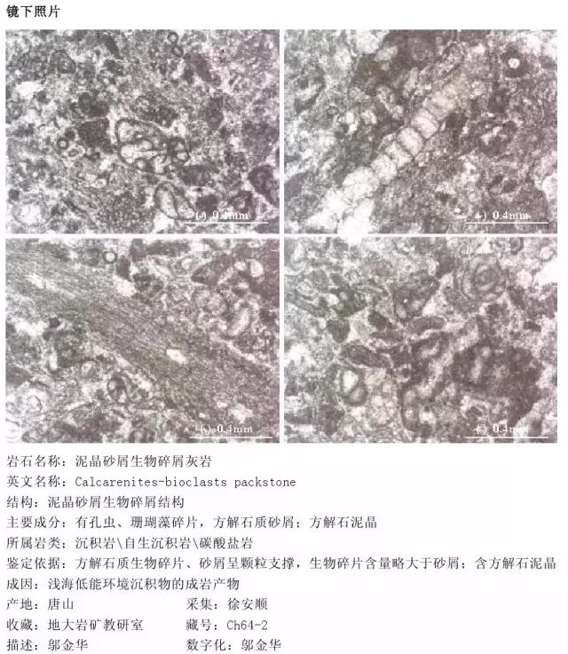 三大岩类190种岩石鉴定图册，看完你就是专家！的图211