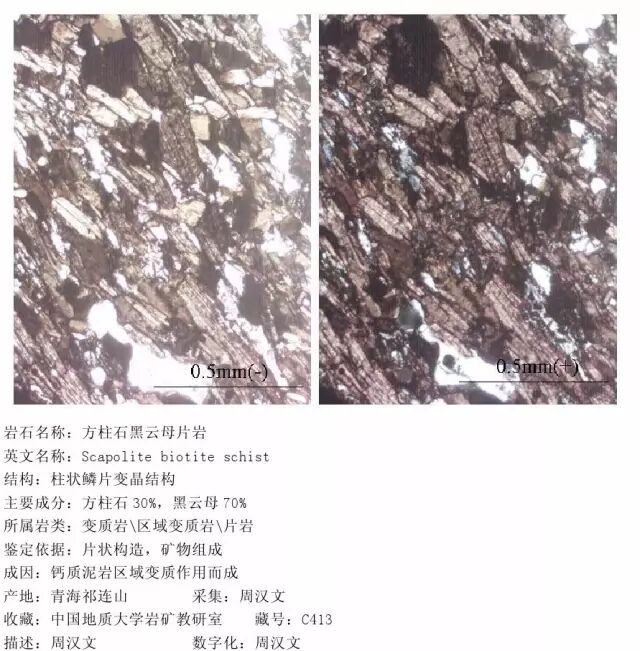 三大岩类190种岩石鉴定图册，看完你就是专家！的图290