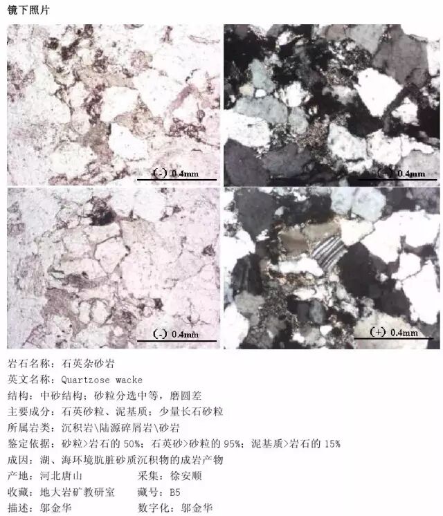 三大岩类190种岩石鉴定图册，看完你就是专家！的图164