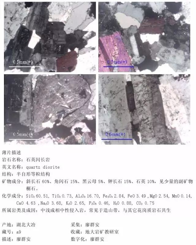 三大岩类190种岩石鉴定图册，看完你就是专家！的图46